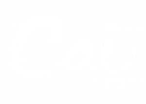 Cai and Co. Logo in white